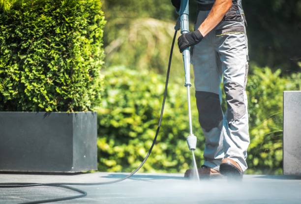 Best Soft Washing  in Orange City, FL